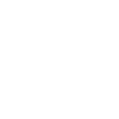 Network globe icon with connected nodes.