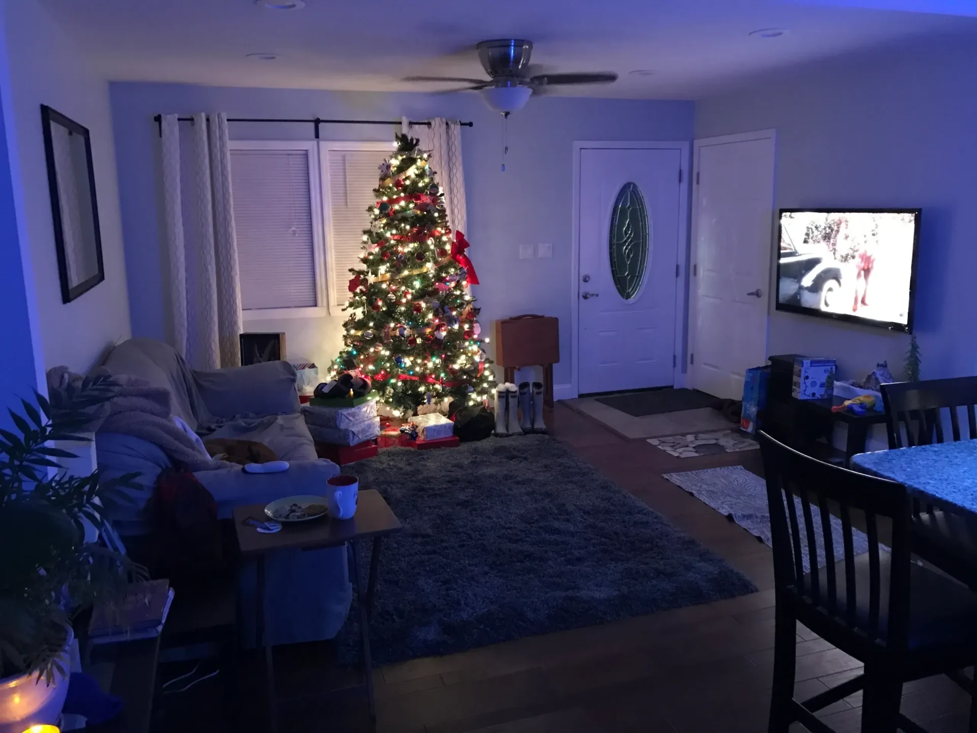 Living room with decorated Christmas tree.